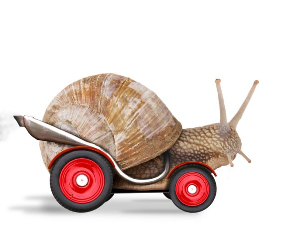 Boost the Speed of your Website