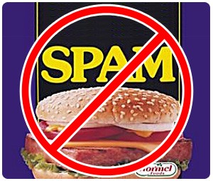 Spam(n): Not good for (A) eating