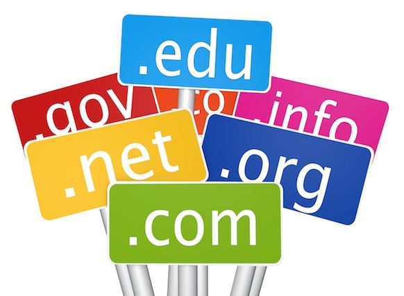 What’s in a Domain Name Extension?