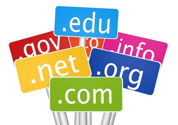 What’s in a Domain Name Extension?