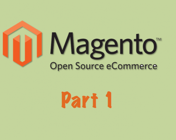 Magento - Implementing Your Store's Look and Feel