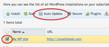 Wordpress auto updates off