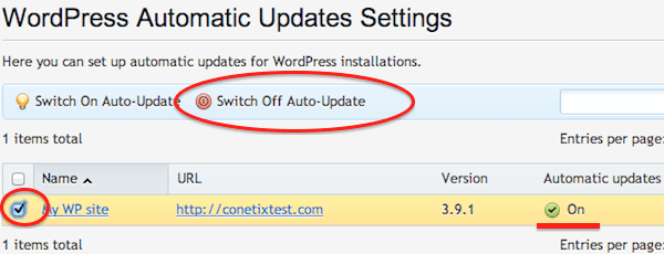 Wordpress auto updates off