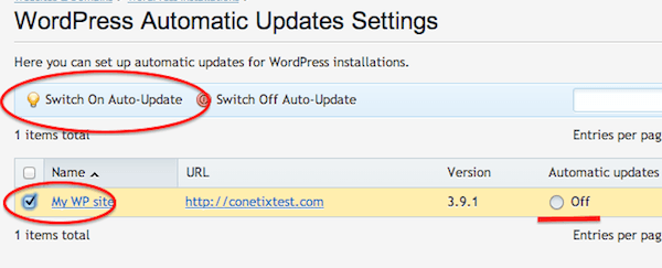 Plesk autoupdates for wordpress on