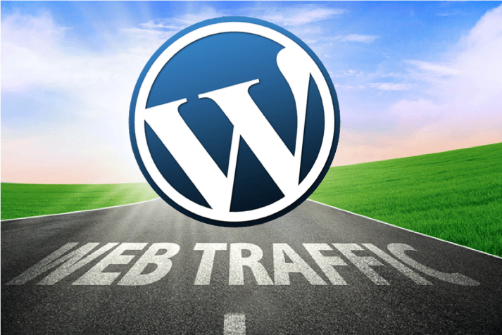 Which WordPress Plugins Should I Install to Increase Traffic?