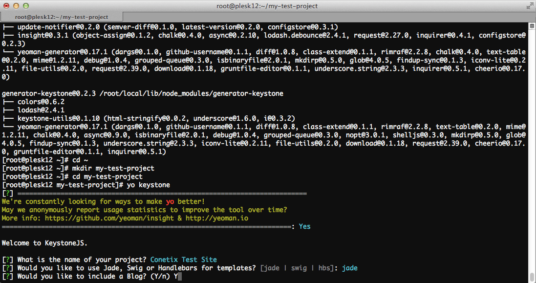 Installing KeystoneJS Plesk12 Screenshot