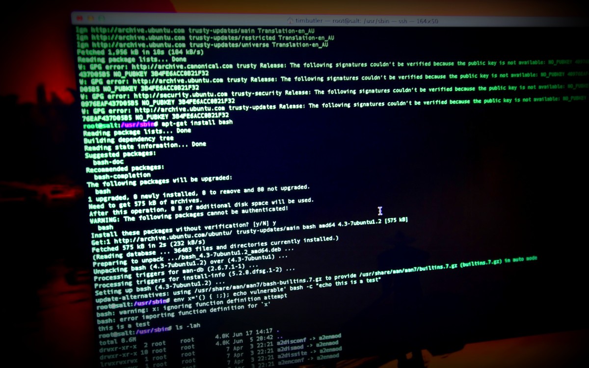 Shellshock: A Bash Exploit