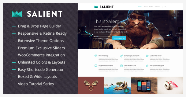 Salient WordPress Theme