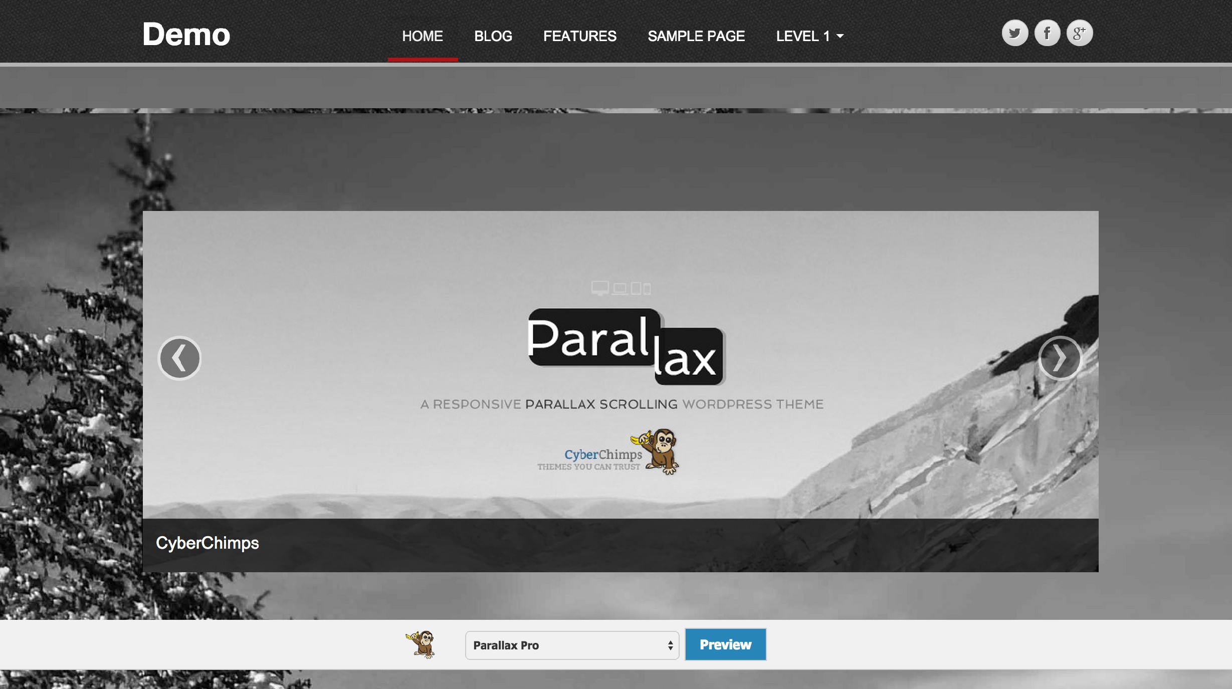 parallax cyberchimps