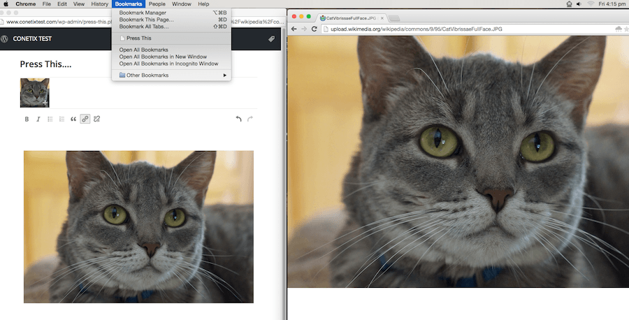 WordPress 4.2 what's new