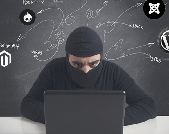 "Plugins" - The unseen Security nightmare