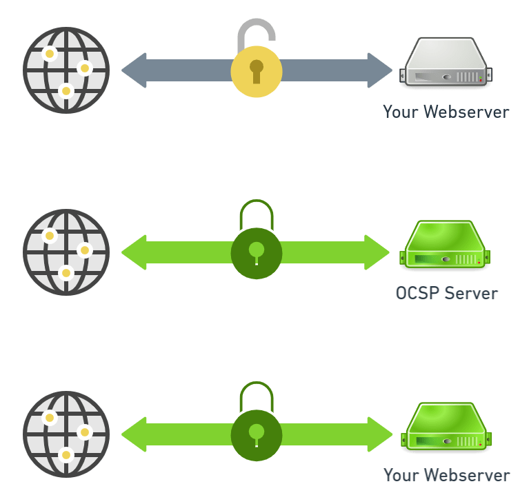 Image showing OSCP prior to adding stapling.