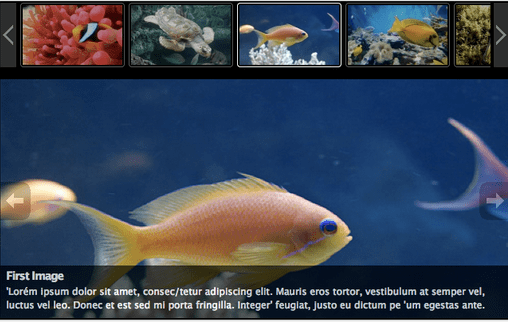 Slideshow Gallery